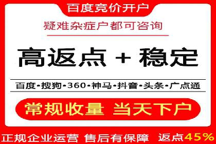 百度竞价排名策略解析：一家公司的广告投放策略全揭秘
